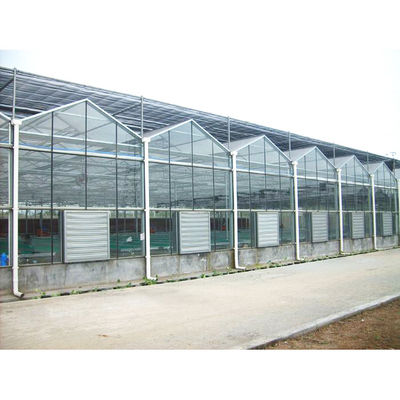 calidad  Tomato Mushroom Growing with Commercial Hydroponic Systems Gothic Polycarbonate Cover Type Greenhouse fábrica