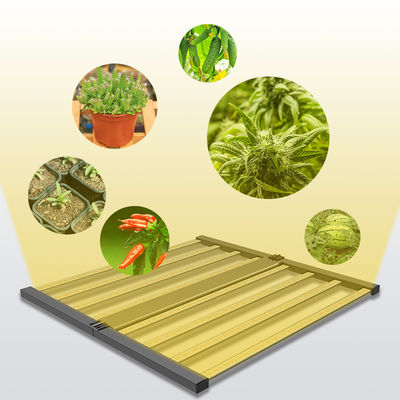 calidad  Seed Seed Growing Full Spectrum 600W Indoor Plants Hydroponic Lamp Folding Greenhouse Lamp Dimmable 4x4 lm301h Led Grow Light fábrica